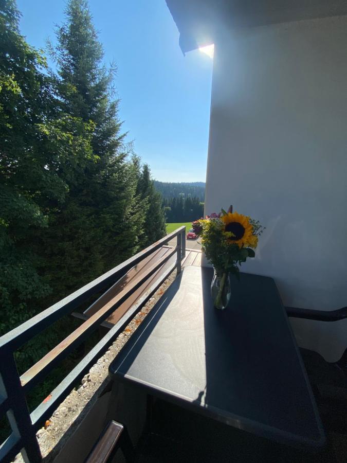 Dreisessel Dreilaendereck Pool Sauna Neureichenau Dış mekan fotoğraf